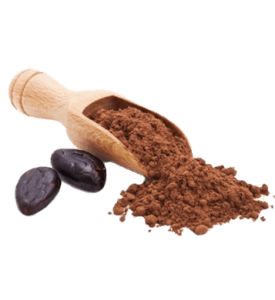 The image features chocolate powder overflowing from a wooden spatula alongside which are cocoa beans