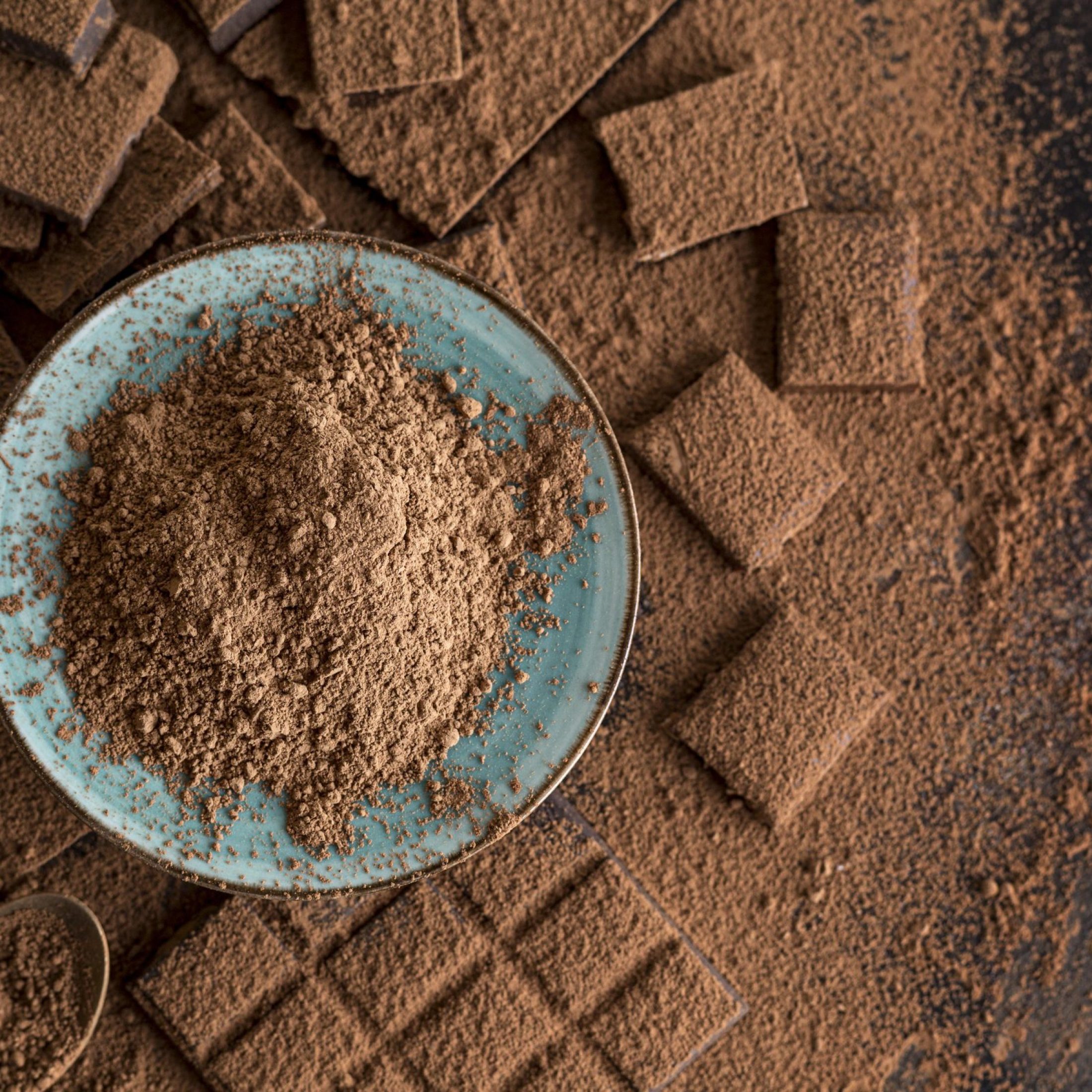 The image features a plate full of chocolate powder with numerous squares of chocolate surrounding it.